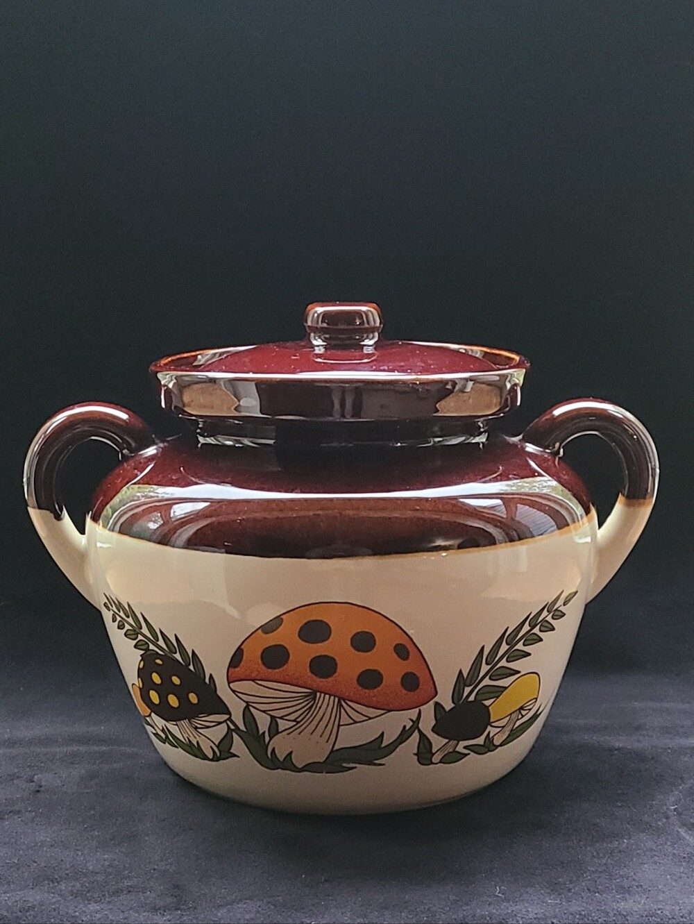 Merry Mushroom Vintage Mccoy Crock